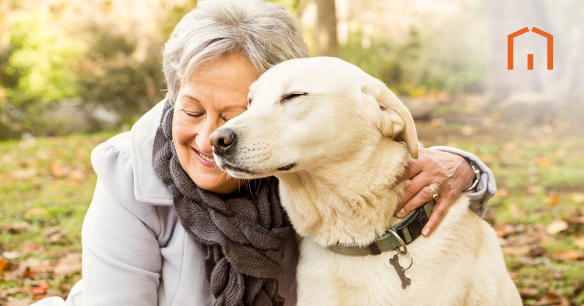 2025-june-9---the-role-of-pets-in-improving-senior-mental-health-and-companionship